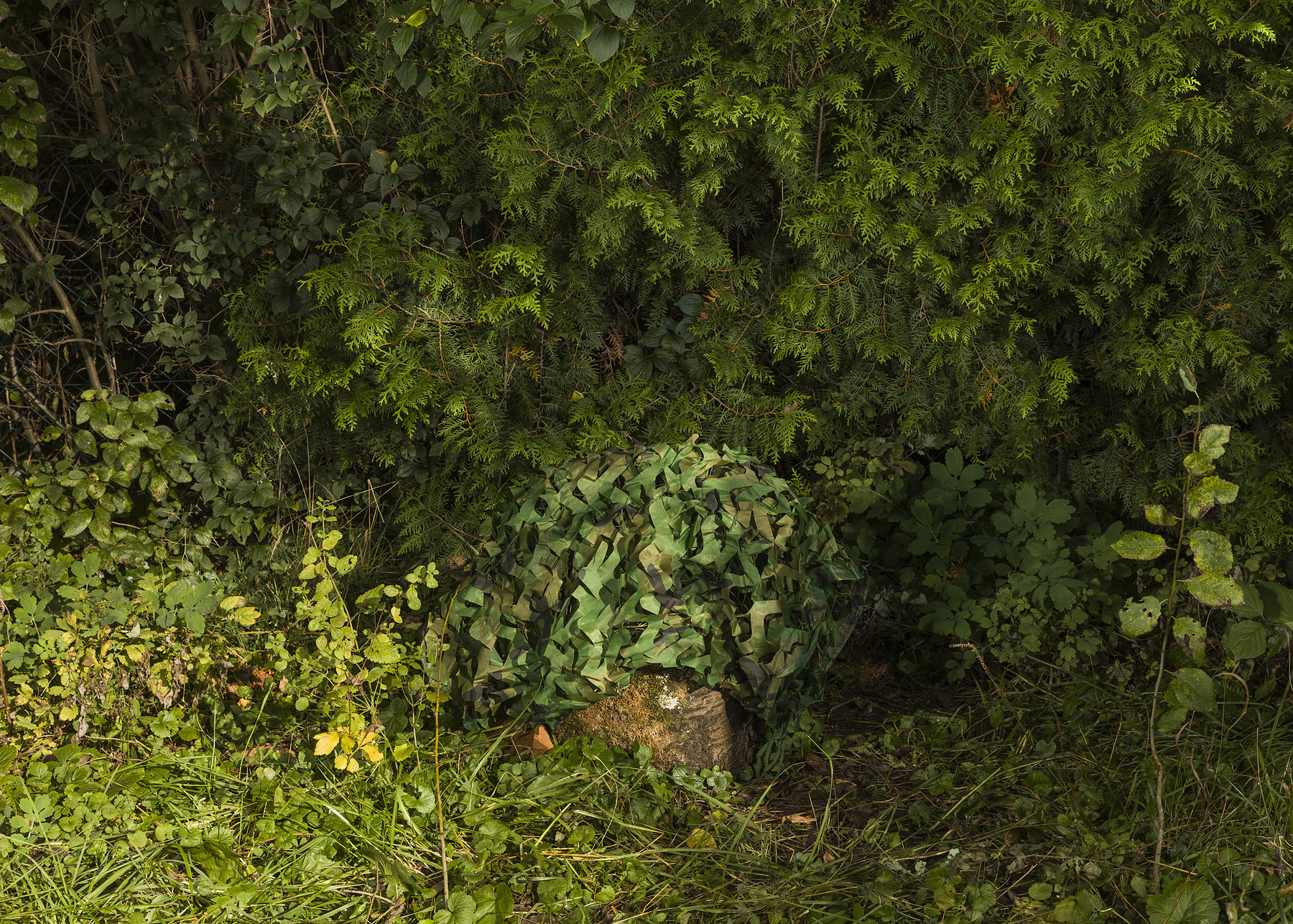 OADE#4 Anna Hjalmarsson — Lockrop