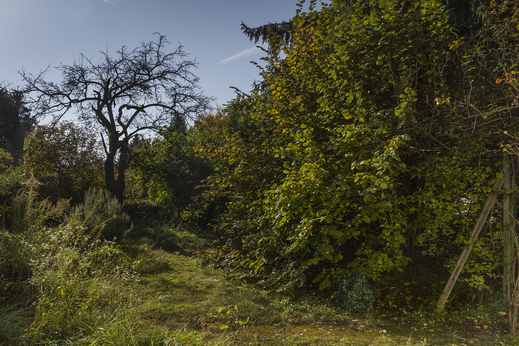 OADE#4 Anna Hjalmarsson — Lockrop