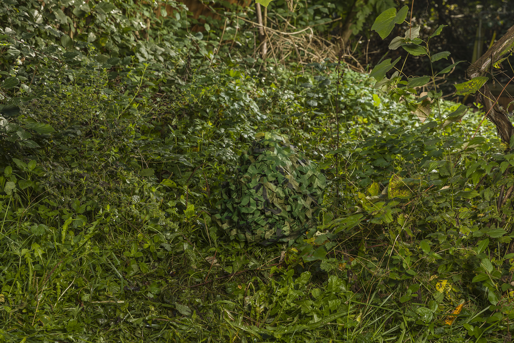 OADE#4 Anna Hjalmarsson — Lockrop