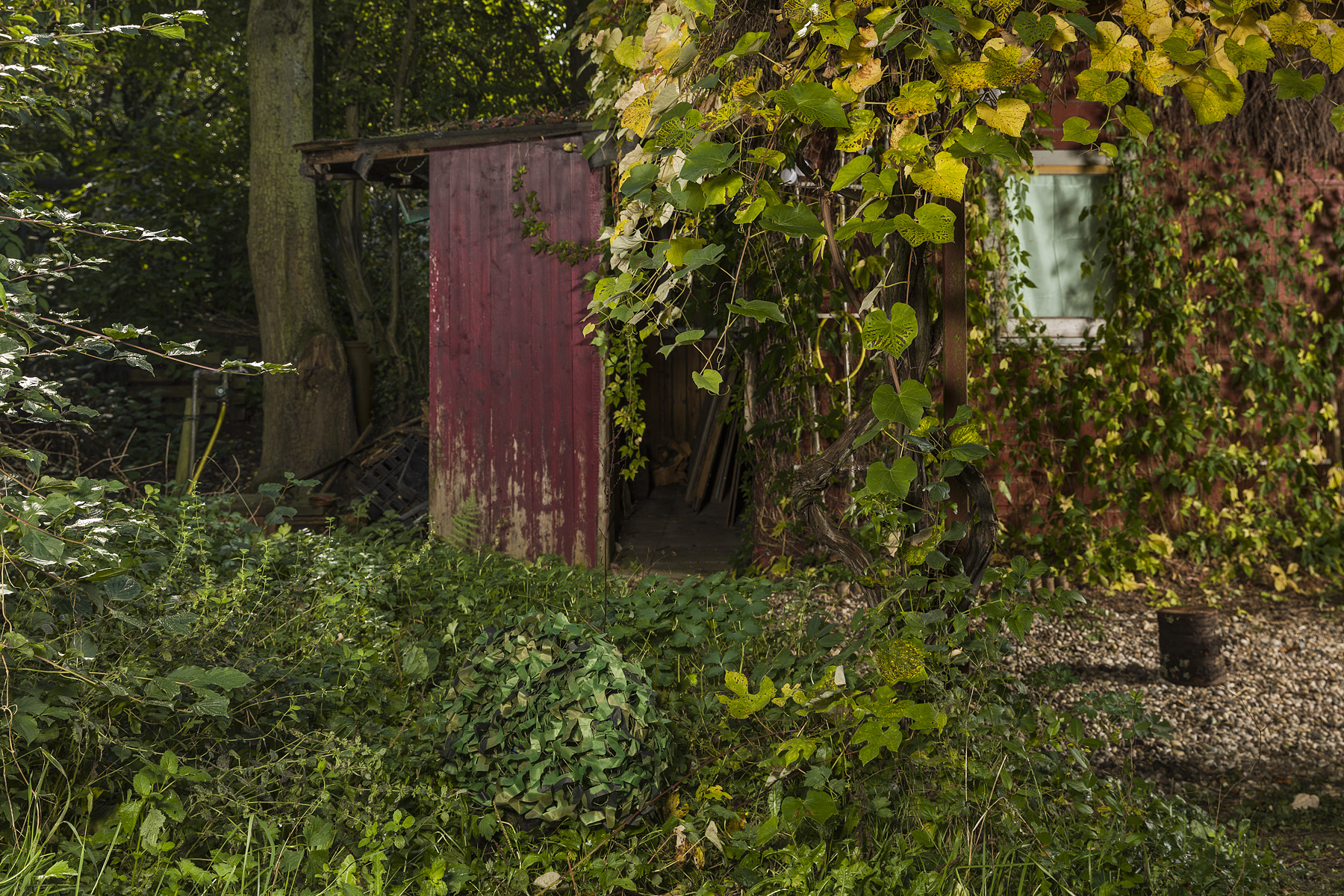 OADE#4 Anna Hjalmarsson — Lockrop